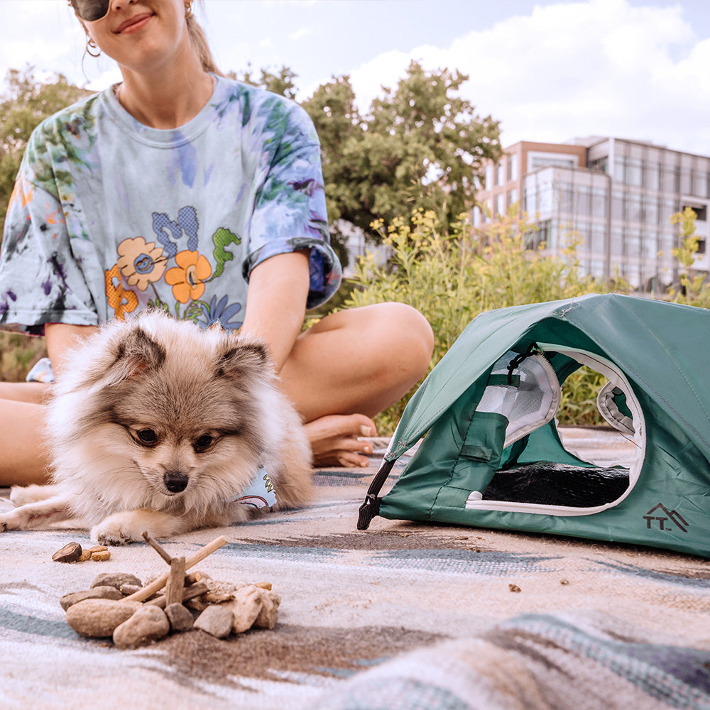 Woman sitting in park with her dog with set up alpine green micro tent sitting next to them