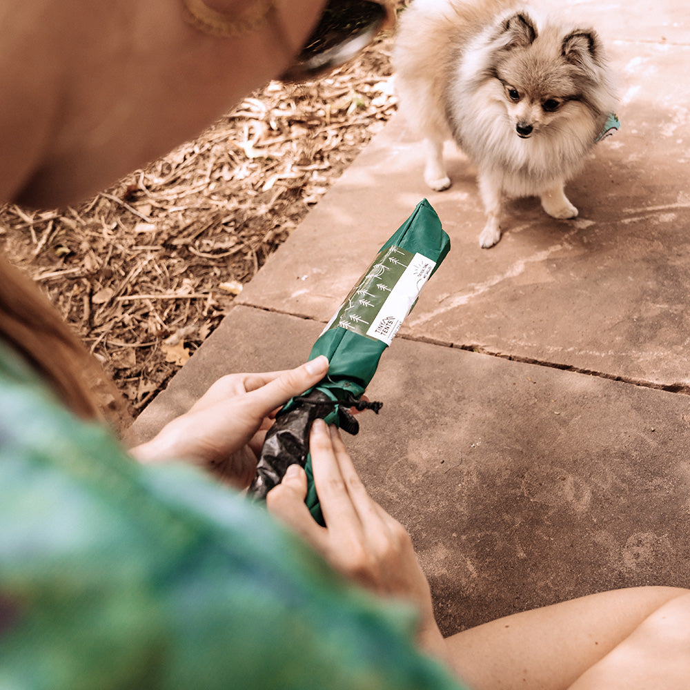 Woman unpacking alpine green micro tent as small dog looks on