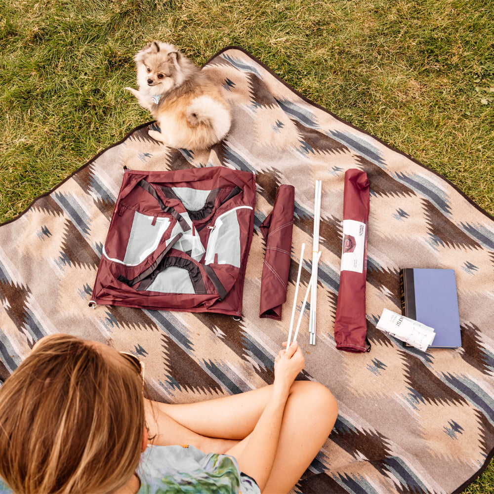 Woman sitting on a park blanket with her small fluffy dog, laying out all the berry tiny tent pieces