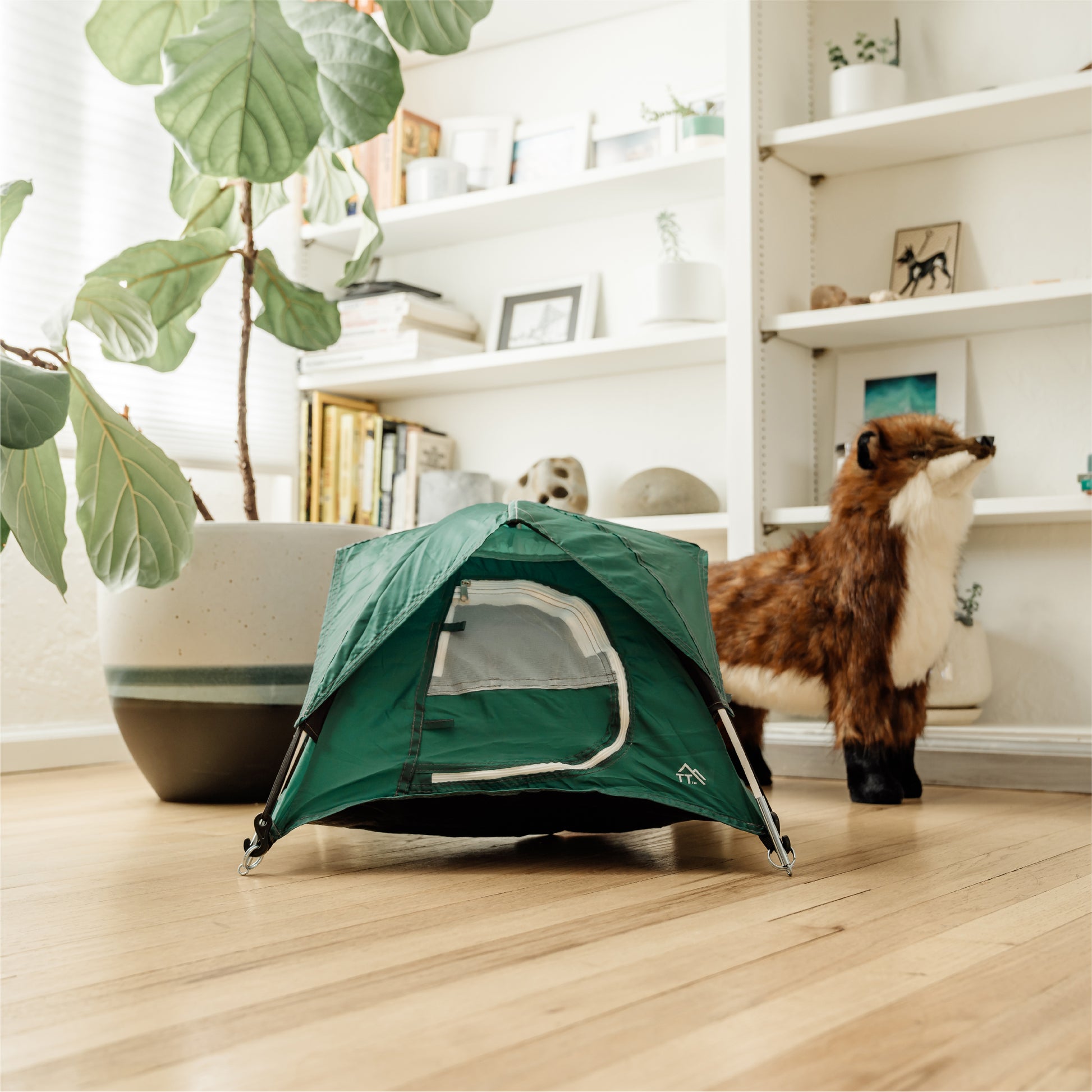 Green tiny tent shown in front of a bookshelf with a toy fox next to it.